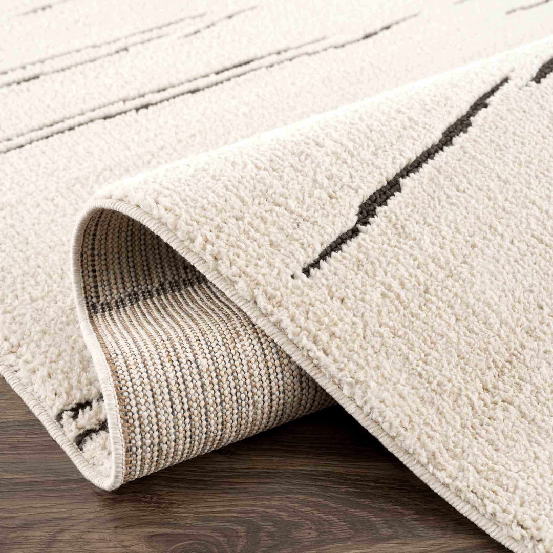 Aulii Modern Abstract Design Beige And Charcoal Area Rug