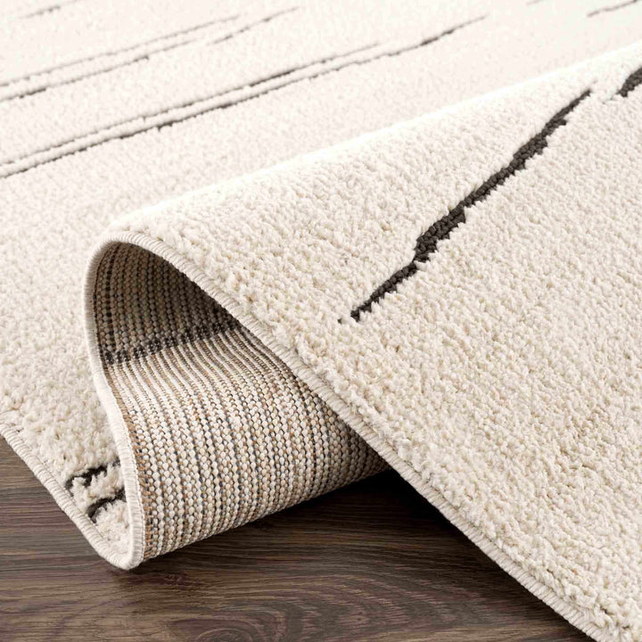 Aulii Modern Abstract Design Beige And Charcoal Area Rug