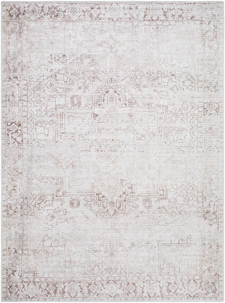Anakin Traditional Style Ivory And Beige Area Rug