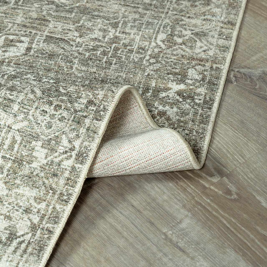 Anakin Traditional Style Green Area Rug