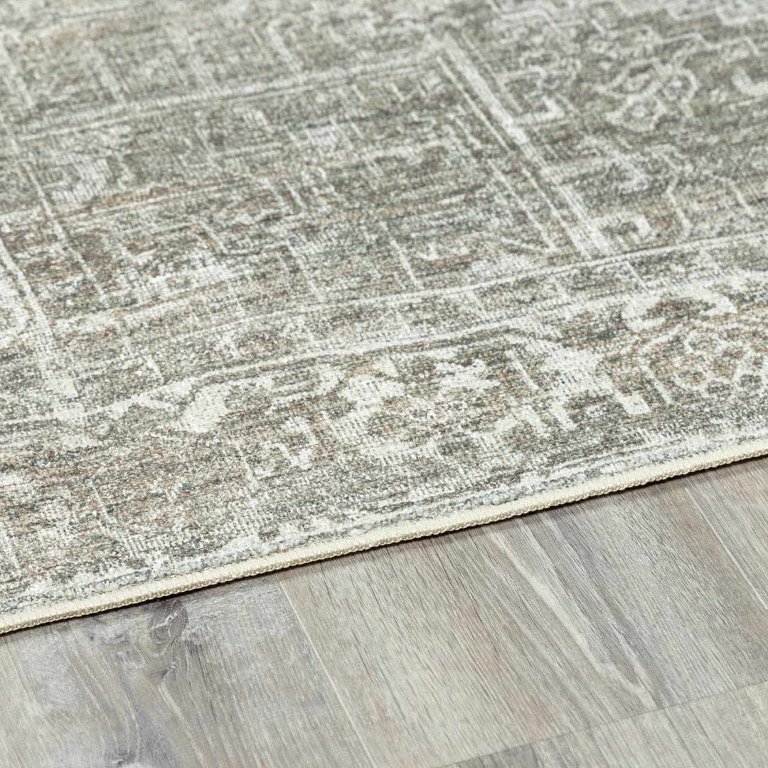 Anakin Traditional Style Green Area Rug