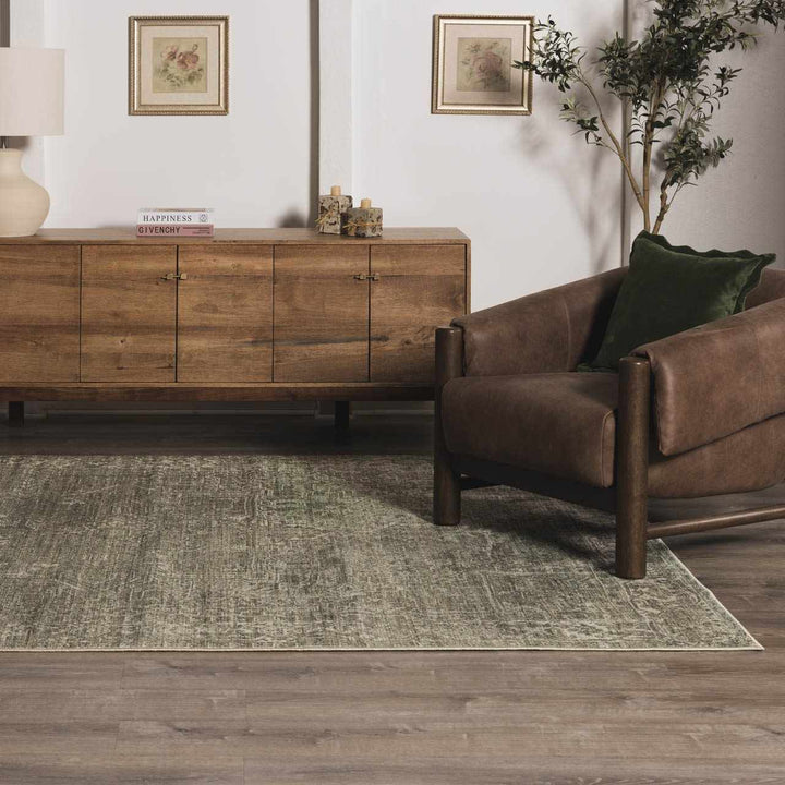 Anakin Traditional Style Green Area Rug