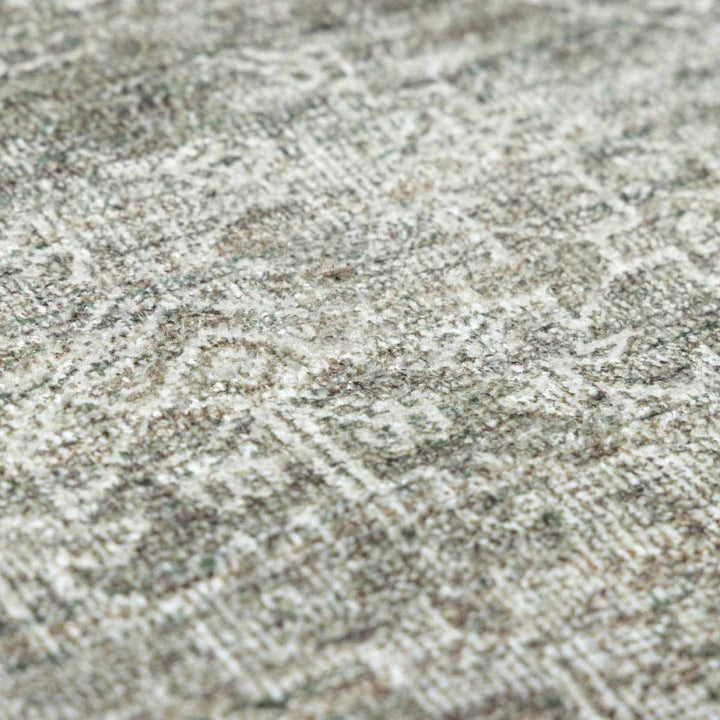 Anakin Traditional Style Green Area Rug
