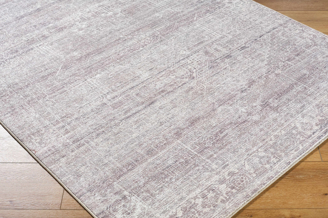 Anakin Traditional Style Gray And Silver Area Rug