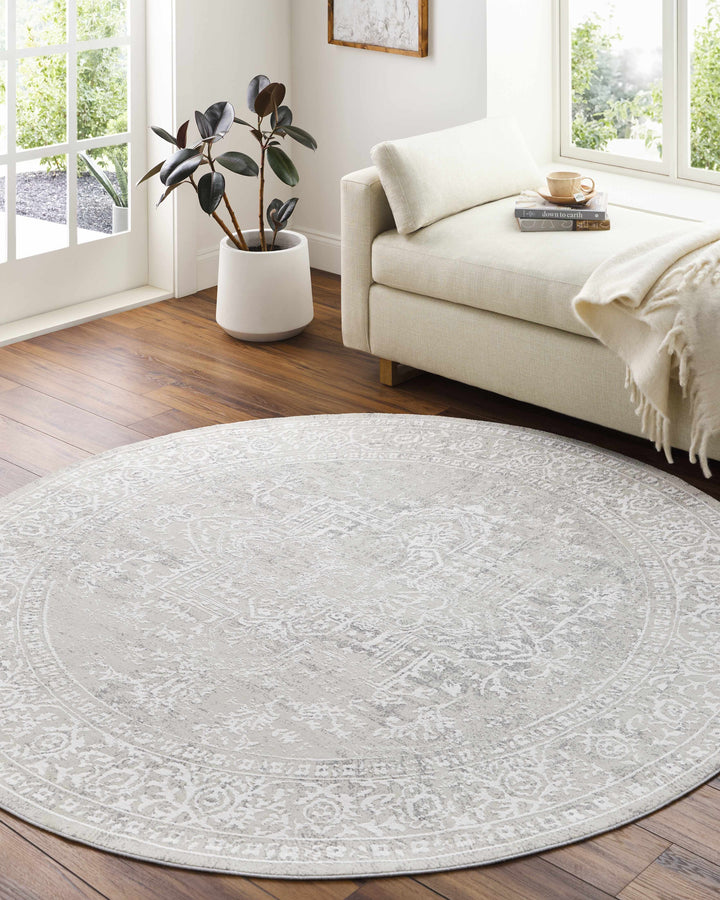 Bolsover Traditional Style Beige And Ivory Area Rug