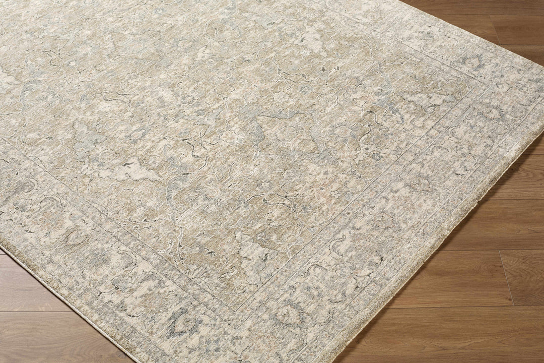 Brynja Traditional Beige And Gray Rug