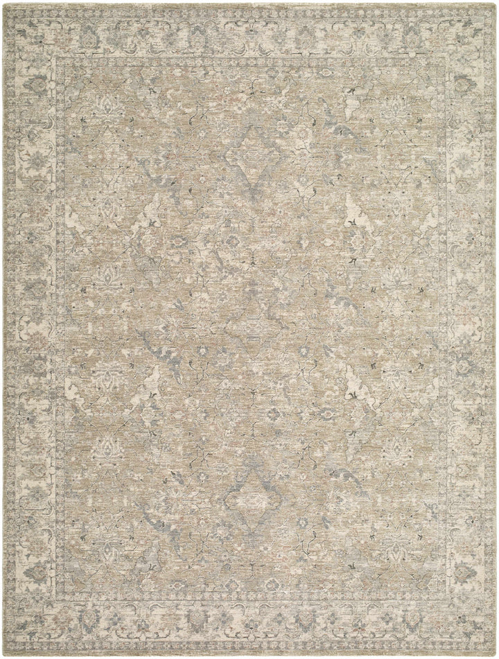 Brynja Traditional Beige And Gray Rug
