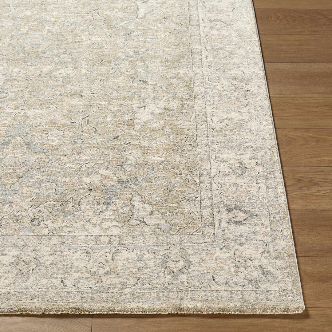 Brynja Traditional Beige And Gray Rug
