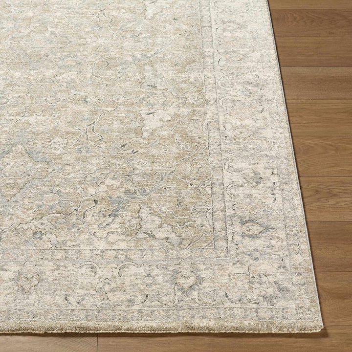 Brynja Traditional Beige And Gray Rug