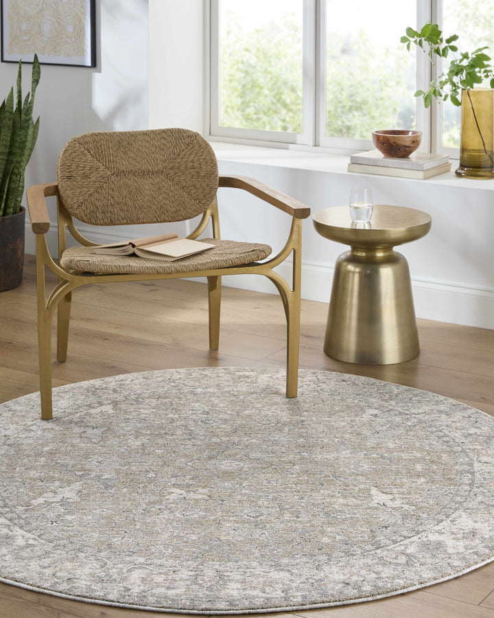 Brynja Traditional Beige And Gray Rug