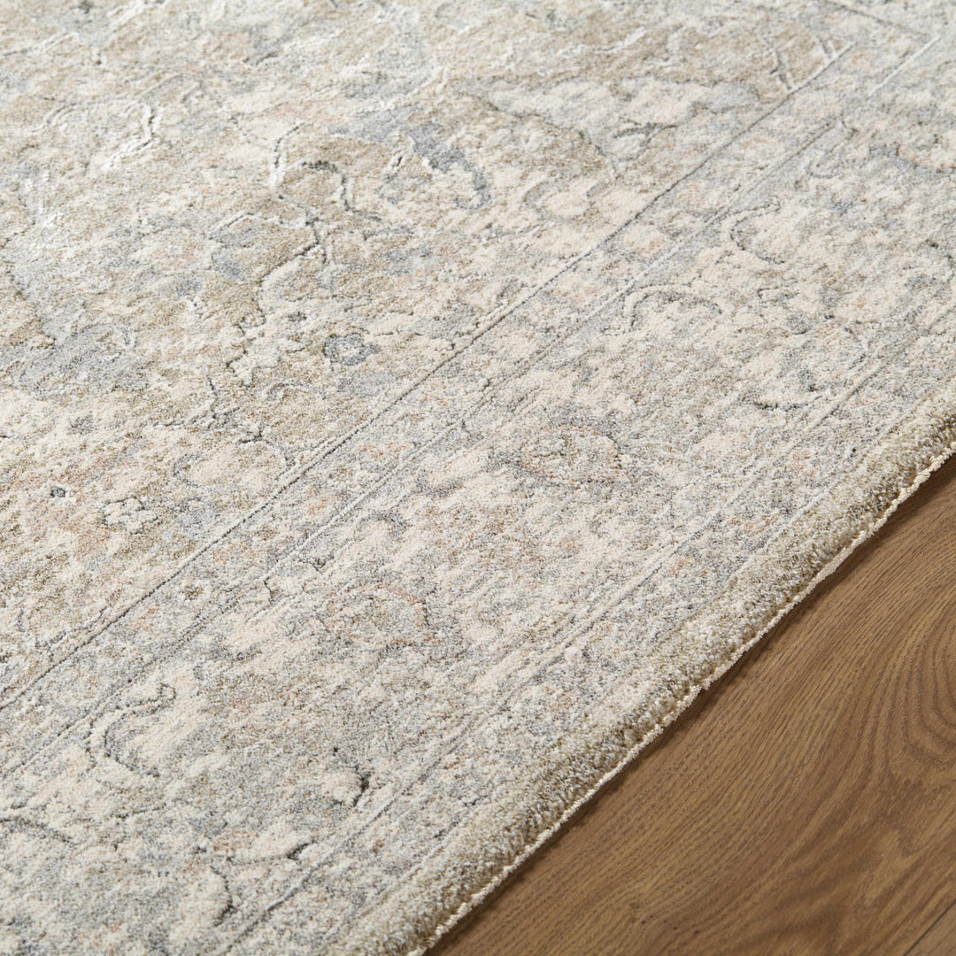 Brynja Traditional Beige And Gray Rug