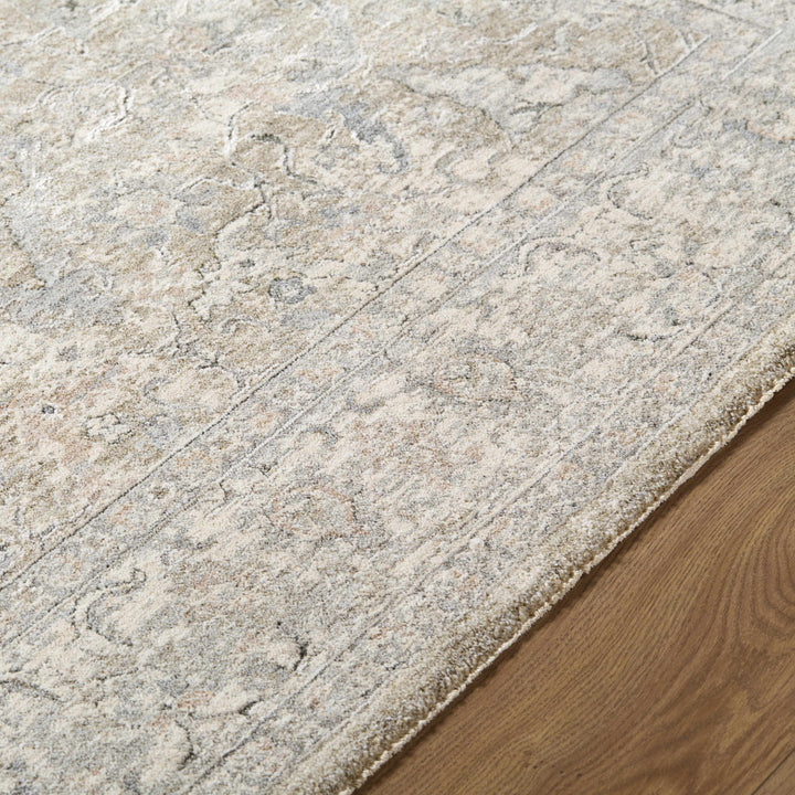 Brynja Traditional Beige And Gray Rug