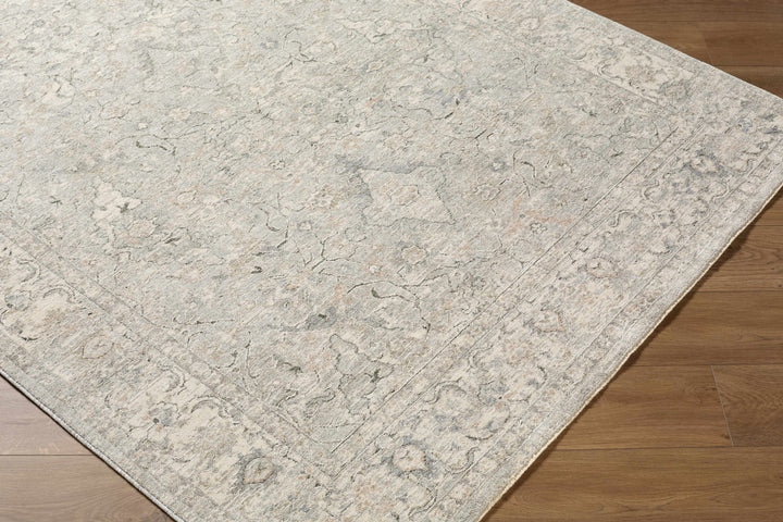 Brynja Traditional Style Beige And Gray Area Rug