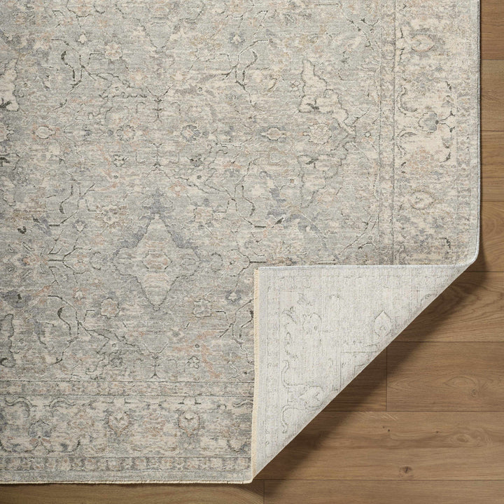 Brynja Traditional Style Beige And Gray Area Rug