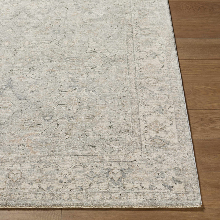 Brynja Traditional Style Beige And Gray Area Rug