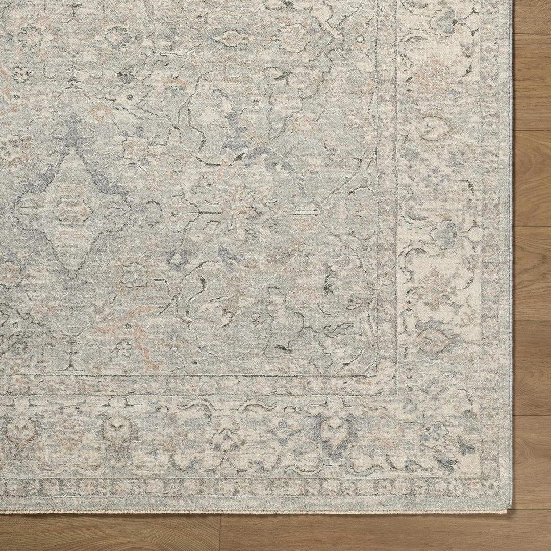 Brynja Traditional Style Beige And Gray Area Rug