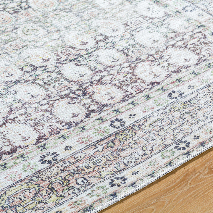 Bartek Traditional Style Brown And Ivory Washable Area Rug