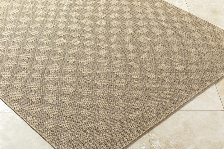 Arifah Contemporary Geometrical Brown And Beige Outdoor Area Rug