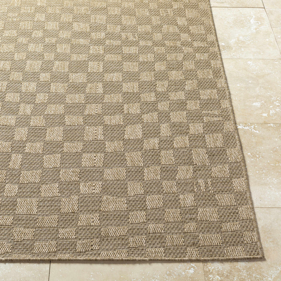 Arifah Contemporary Geometrical Brown And Beige Outdoor Area Rug