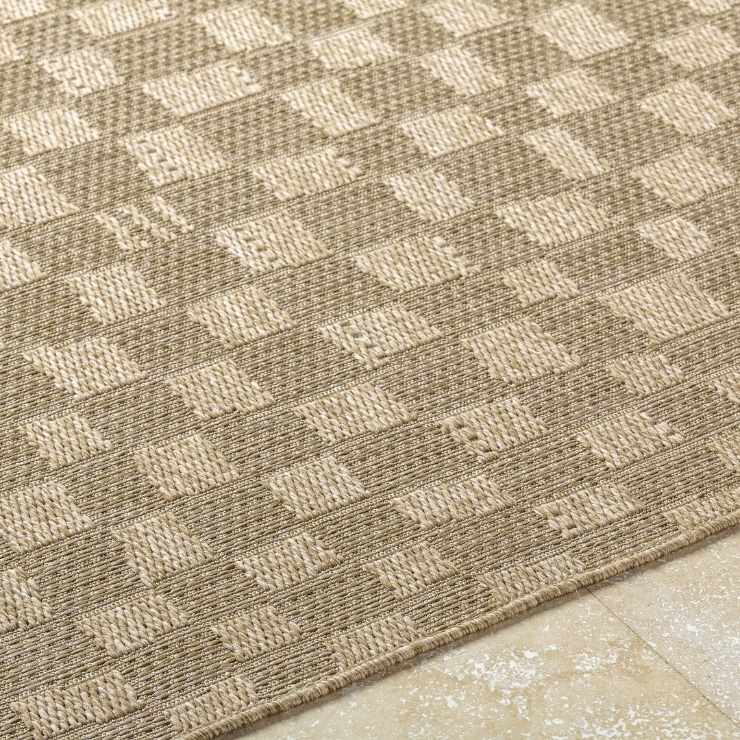 Arifah Contemporary Geometrical Brown And Beige Outdoor Area Rug