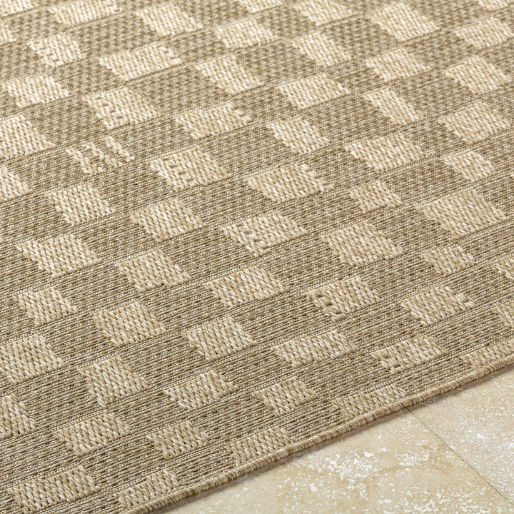 Arifah Contemporary Geometrical Brown And Beige Outdoor Area Rug