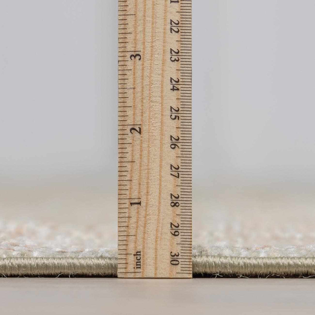Allene Traditional Gray And Brown Machine Woven Rug
