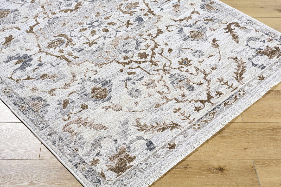 Aldona Traditional Style Ivory And Brown Area Rug