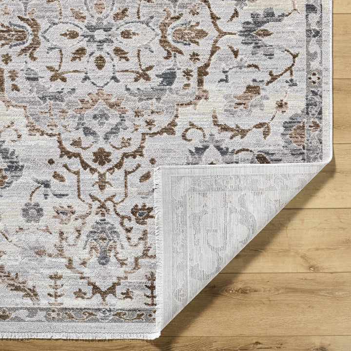 Aldona Traditional Style Ivory And Brown Area Rug