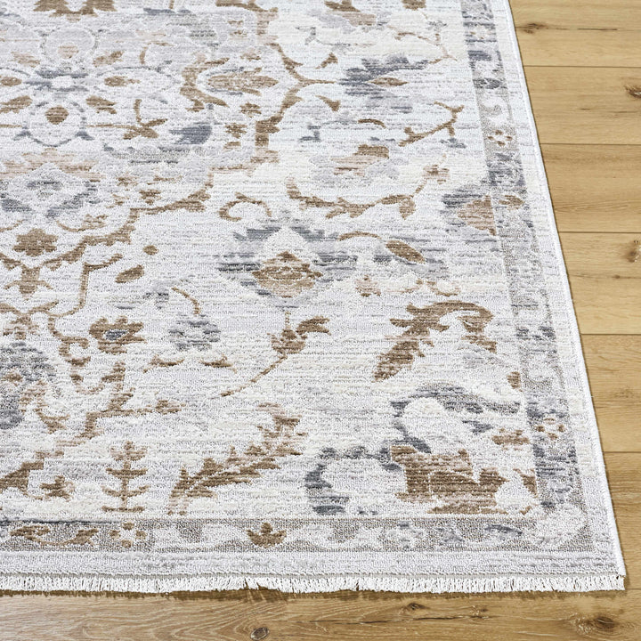 Aldona Traditional Style Ivory And Brown Area Rug