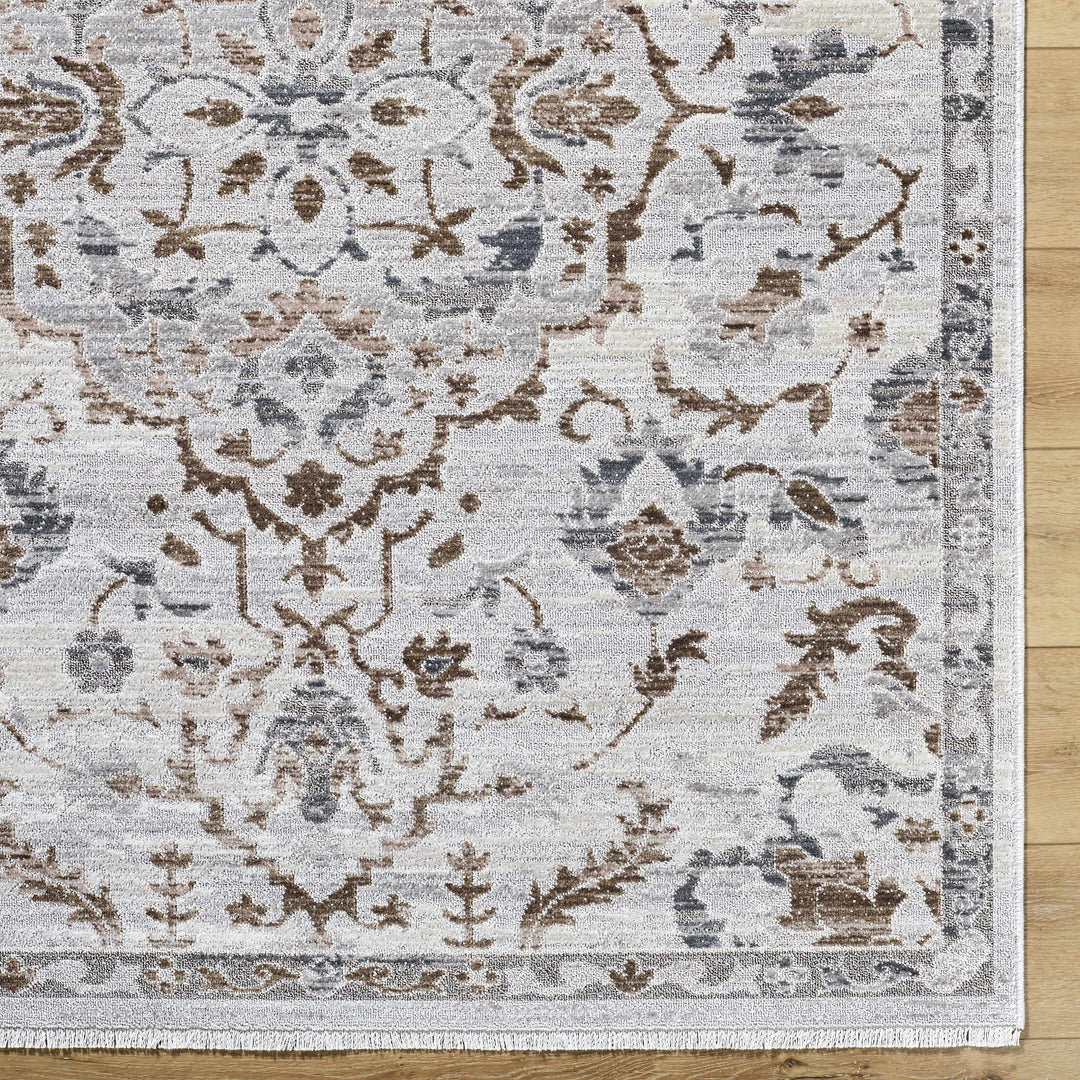 Aldona Traditional Style Ivory And Brown Area Rug