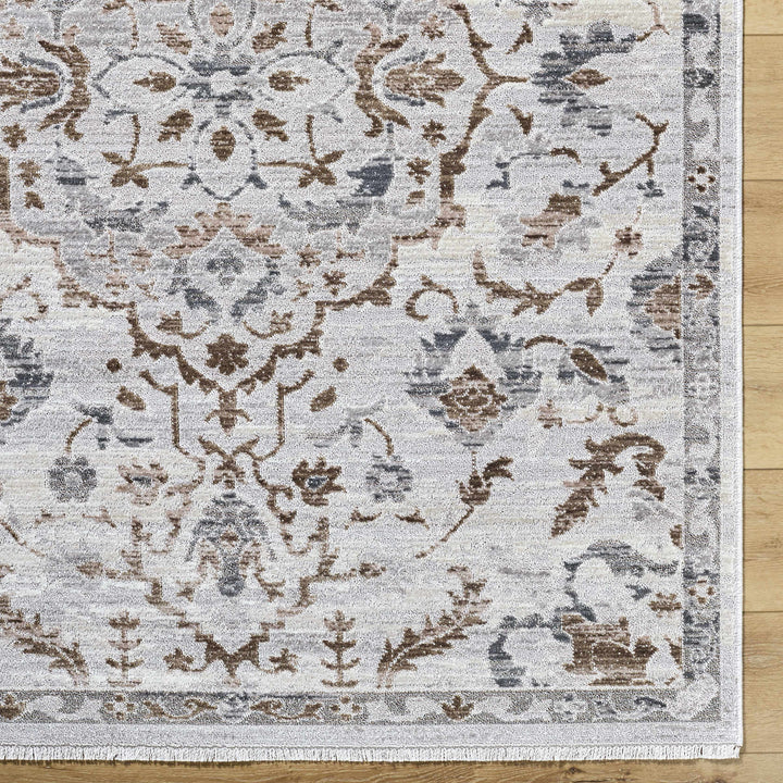 Aldona Traditional Style Ivory And Brown Area Rug