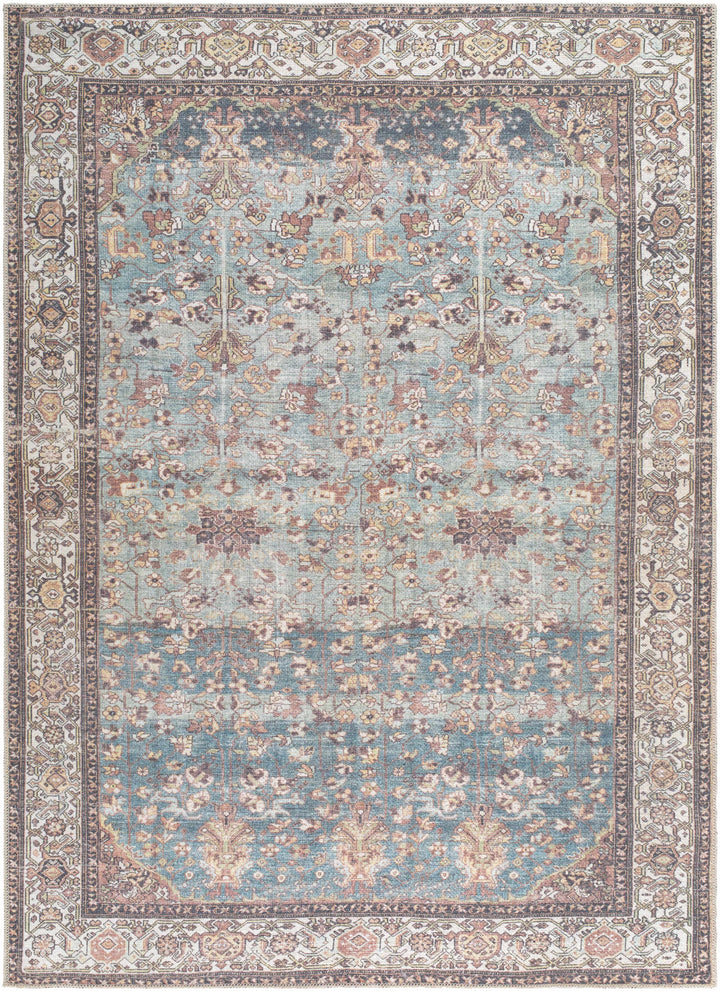 Bahram Traditional Transitional Gray And Brown Washable Rug