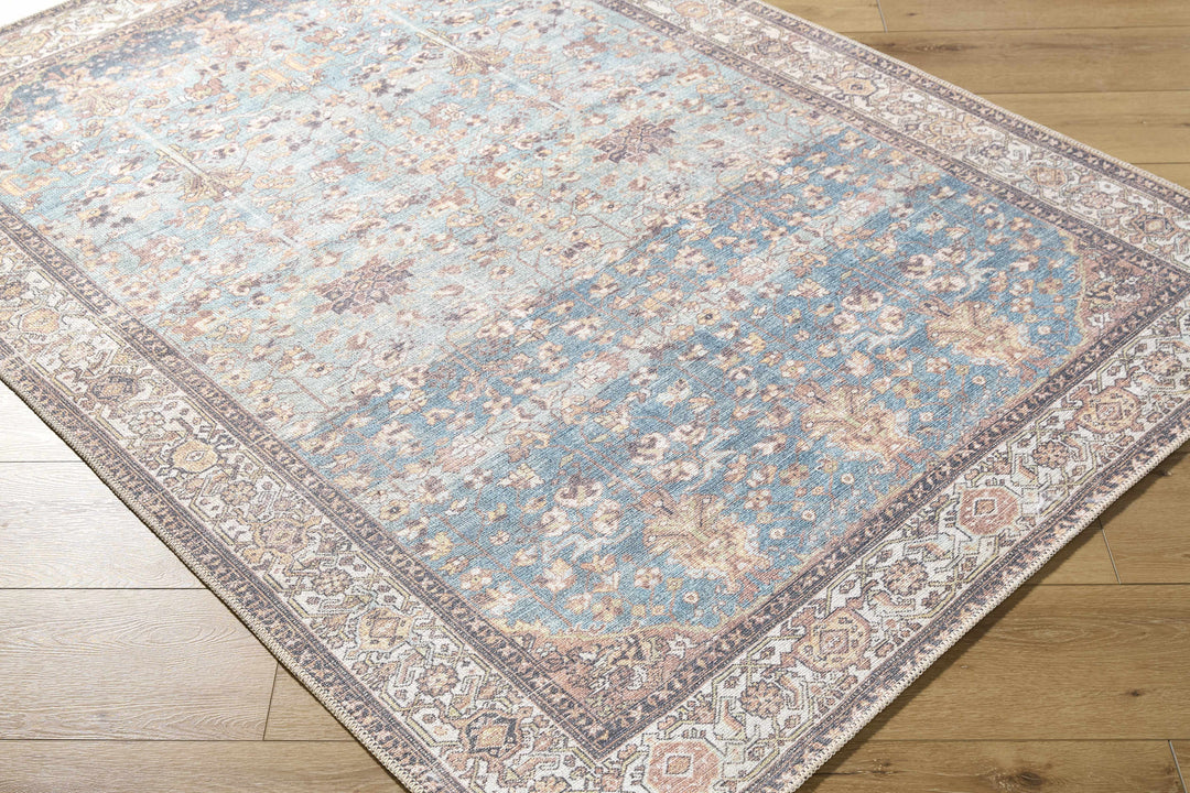 Bahram Traditional Transitional Gray And Brown Washable Rug