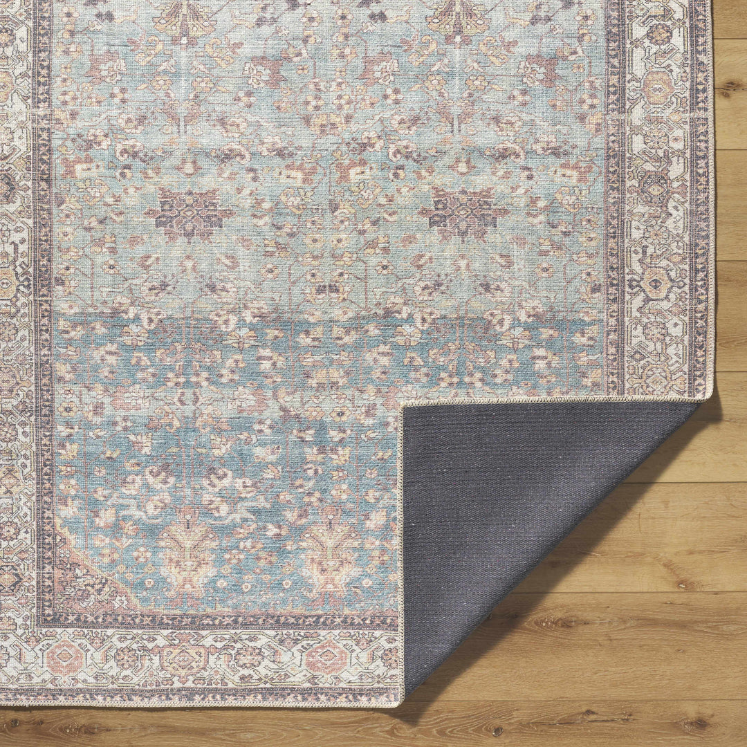 Bahram Traditional Transitional Gray And Brown Washable Rug