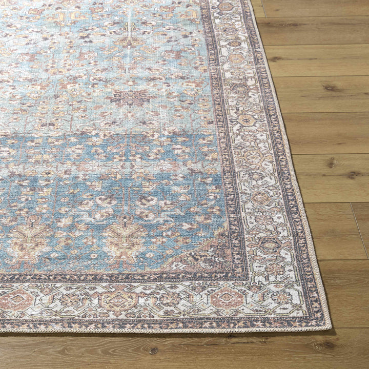Bahram Traditional Transitional Gray And Brown Washable Rug