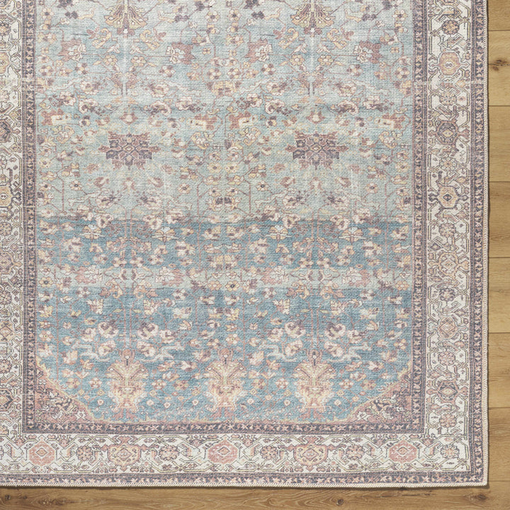 Bahram Traditional Transitional Gray And Brown Washable Rug