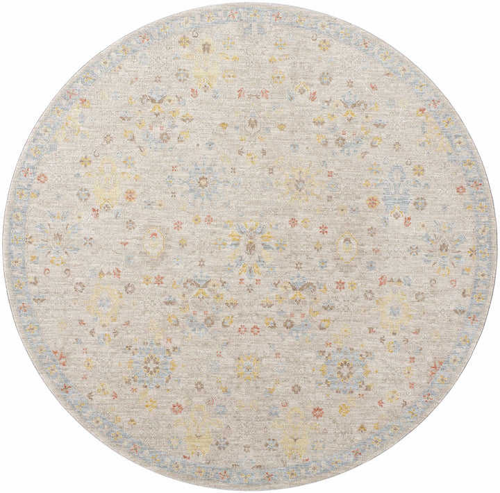 Burcu Traditional Oushak Design Beige And Gray Area Rug
