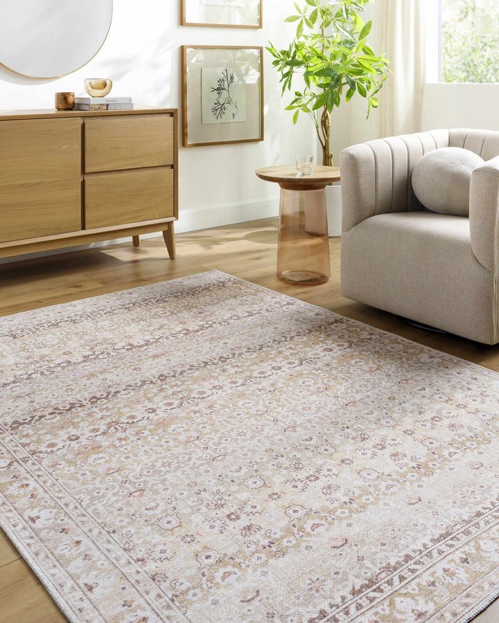 Bienna Traditional Style Beige And Brown Washable Rug