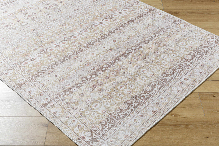 Bienna Traditional Style Beige And Brown Washable Rug