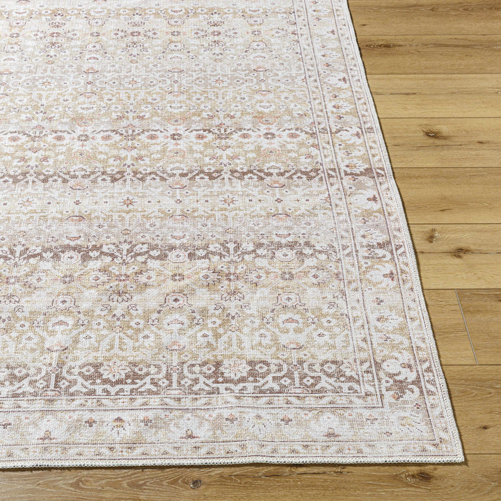 Bienna Traditional Style Beige And Brown Washable Rug