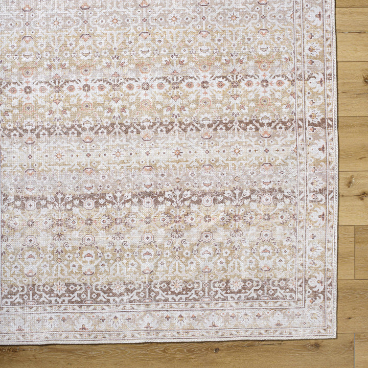 Bienna Traditional Style Beige And Brown Washable Rug