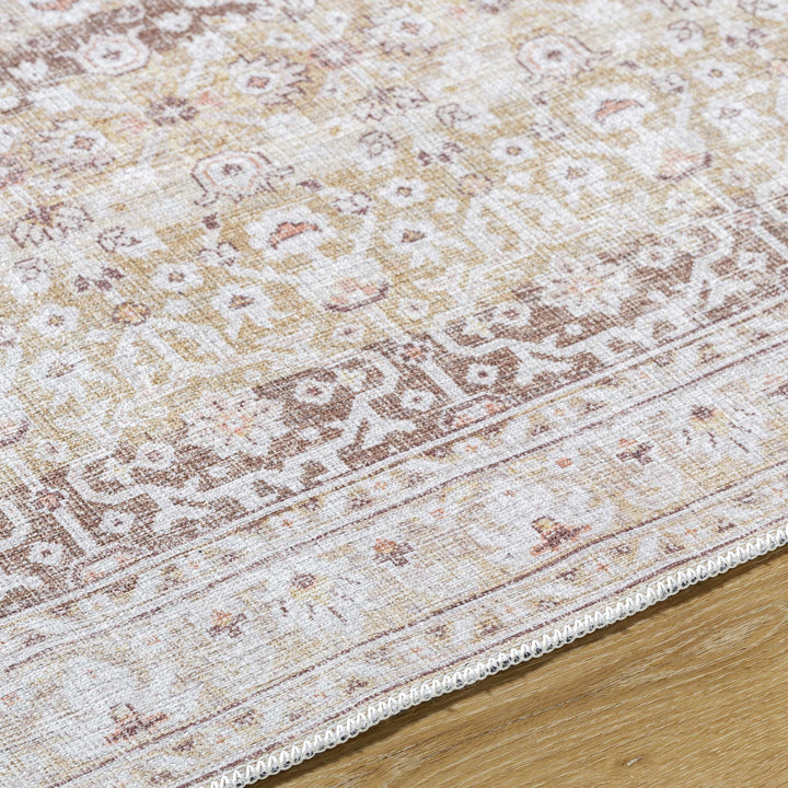 Bienna Traditional Style Beige And Brown Washable Rug