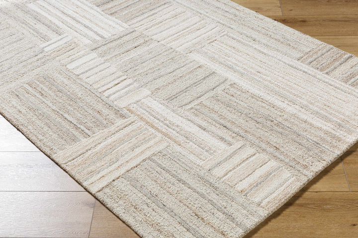 Ashtyn Beige Contemporary Style Hand Tufted Area Rug