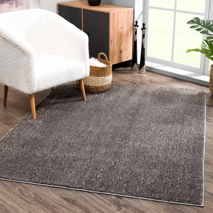 Judy Modern Solid Charcoal Polyester Rug