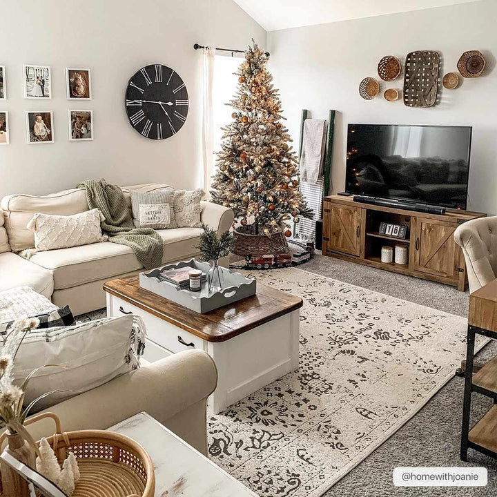 Turkey Traditional Style Ivory And Charcoal Area Rug