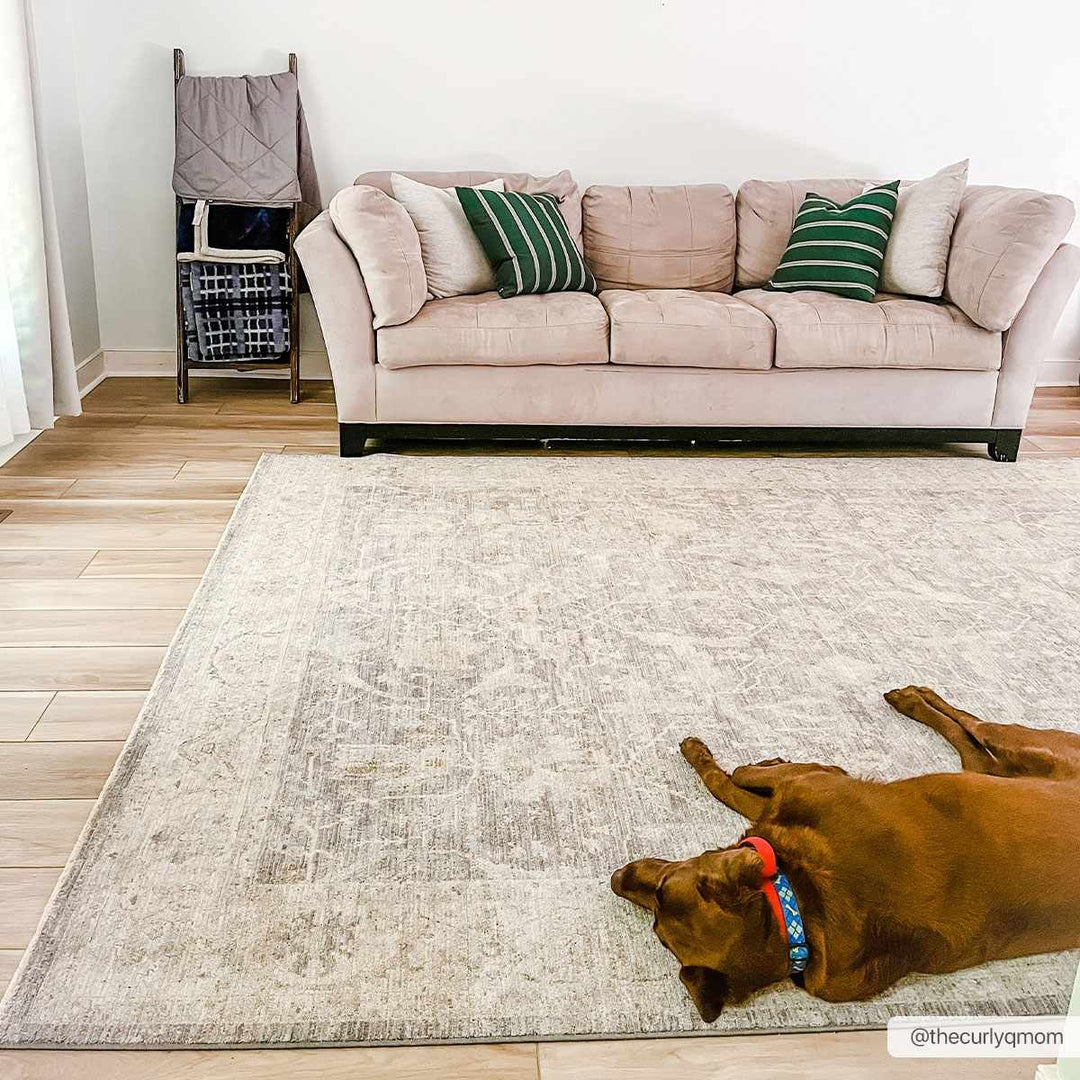 Binx Traditional Style Gray And Ivory Rug