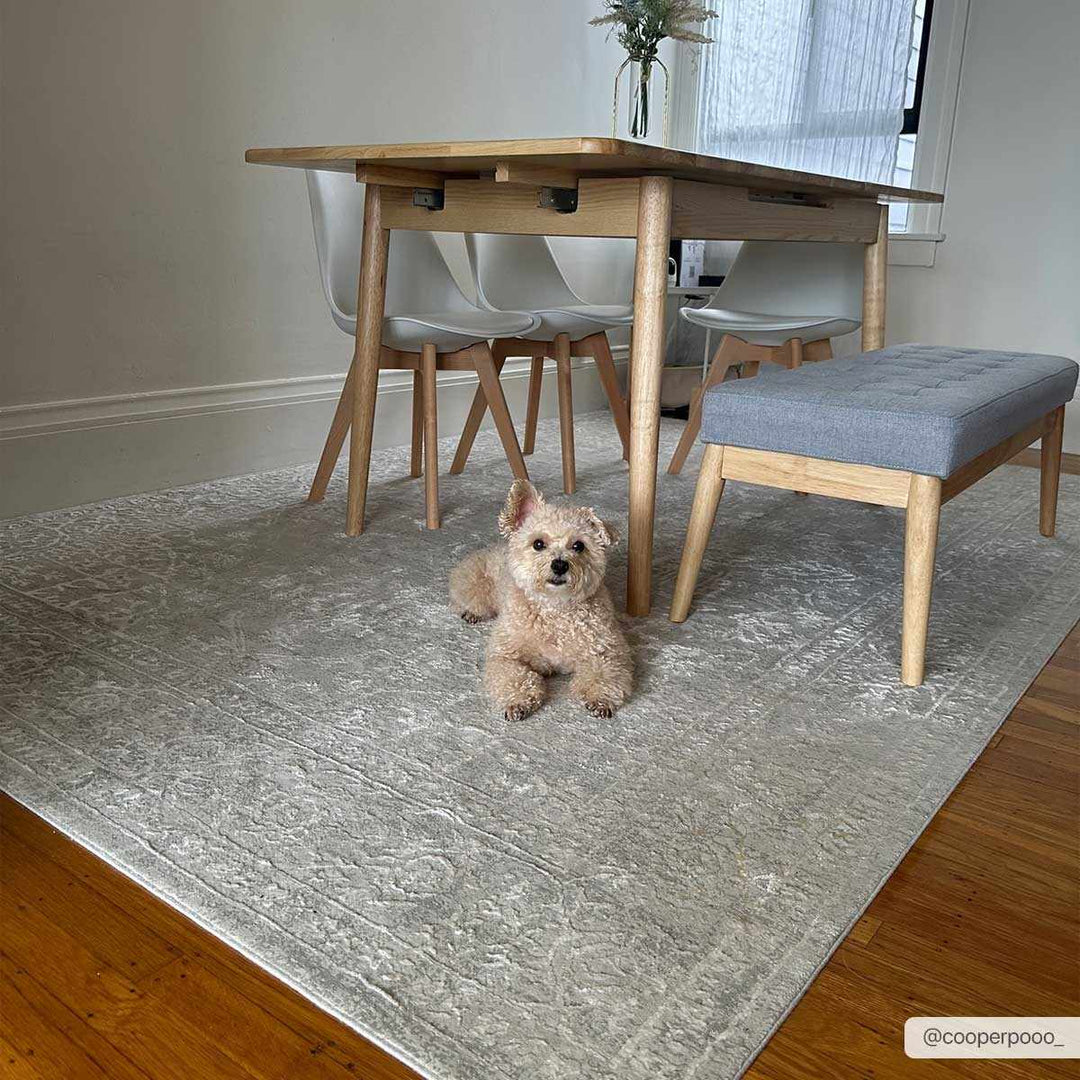 Bolsover Traditional Style Beige And Ivory Area Rug