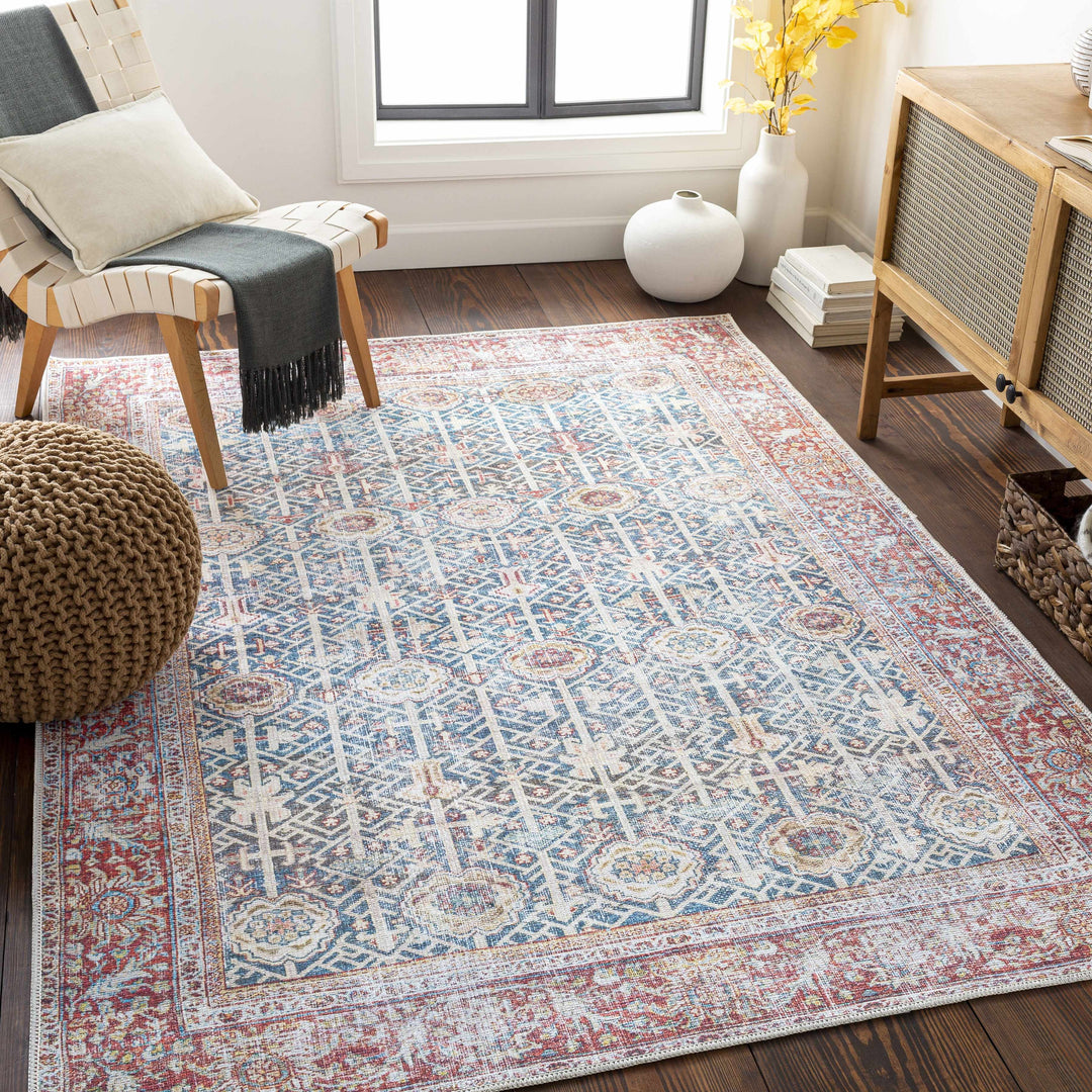 Catadupa Blue Traditional Style Distressed Washable Area Rug