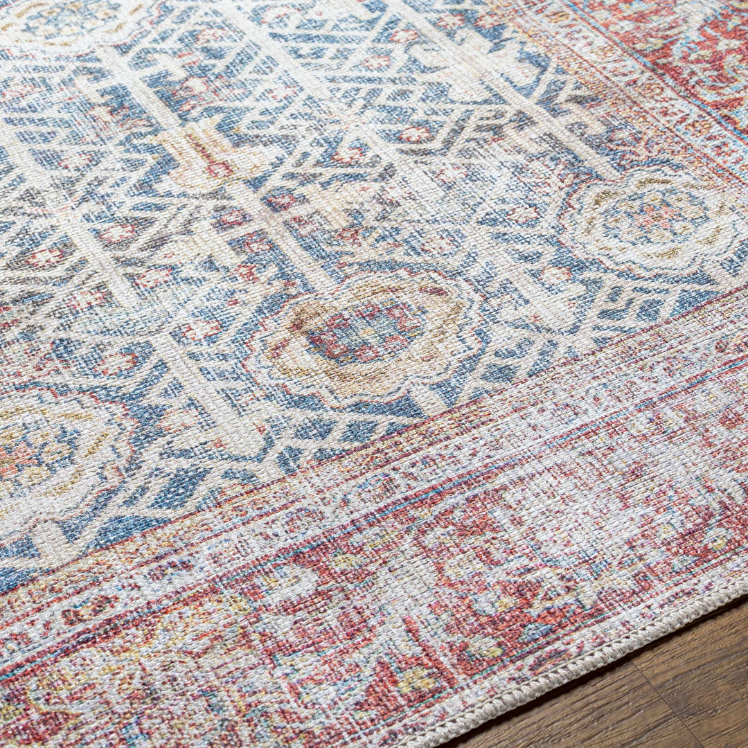 Catadupa Blue Traditional Style Distressed Washable Area Rug