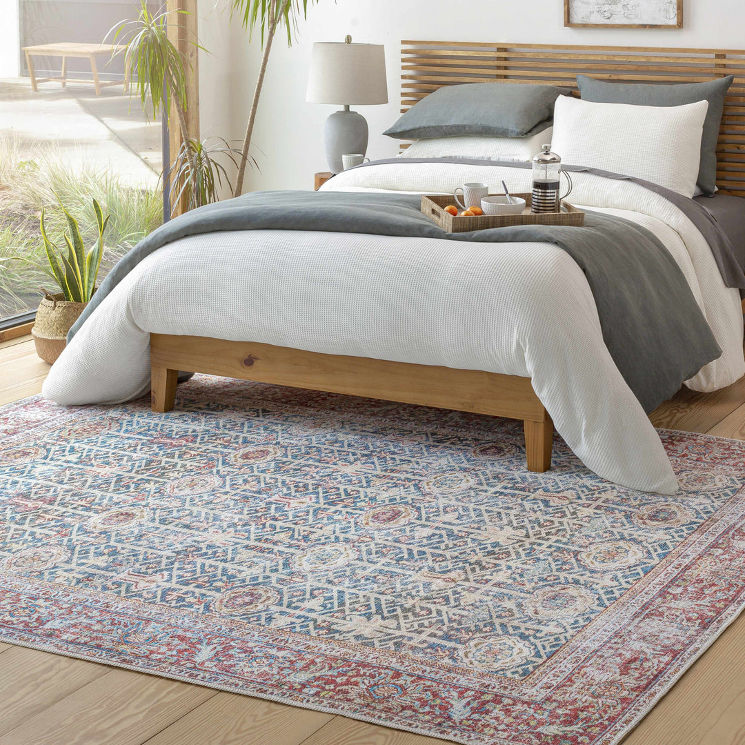 Catadupa Blue Traditional Style Distressed Washable Area Rug